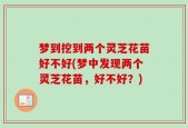 梦到挖到两个灵芝花苗好不好(梦中发现两个灵芝花苗，好不好？)