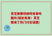 灵芝根要切掉吗有毒吗图片(疑似有毒！灵芝根成了热门讨论话题)