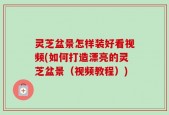 灵芝盆景怎样装好看视频(如何打造漂亮的灵芝盆景（视频教程）)