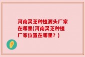 河南灵芝种植源头厂家在哪里(河南灵芝种植厂家位置在哪里？)