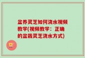 盆养灵芝如何浇水视频教学(视频教学：正确的盆栽灵芝浇水方式)