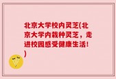 北京大学校内灵芝(北京大学内栽种灵芝，走进校园感受健康生活！)