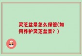 灵芝盆景怎么保管(如何养护灵芝盆景？)
