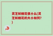 灵芝妖精花很小么(灵芝妖精花的大小如何？)