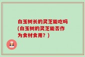 白玉树长的灵芝能吃吗(白玉树的灵芝能否作为食材食用？)