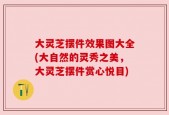 大灵芝摆件效果图大全(大自然的灵秀之美，大灵芝摆件赏心悦目)