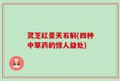 灵芝红景天石斛(四种中草药的惊人益处)