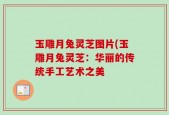 玉雕月兔灵芝图片(玉雕月兔灵芝：华丽的传统手工艺术之美