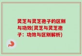 灵芝与灵芝孢子的区别与功效(灵芝与灵芝孢子：功效与区别解析)