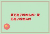 灵芝孢子粉怎么养？灵芝孢子粉怎么种