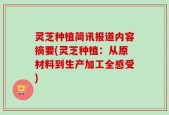 灵芝种植简讯报道内容摘要(灵芝种植：从原材料到生产加工全感受)