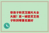 带孢子粉灵芝图片大全大图？紫一破壁灵芝孢子粉到哪里买最好