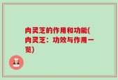 肉灵芝的作用和功能(肉灵芝：功效与作用一览)