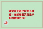 破壁灵芝孢子粉怎么种植？详解破壁灵芝孢子粉的种植方法？