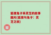 狐狸兔子采灵芝的故事图片(狐狸与兔子：灵芝之旅)