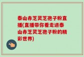泰山赤芝灵芝孢子粉直播(直播带你看走进泰山赤芝灵芝孢子粉的精彩世界)