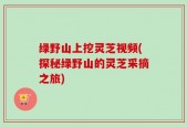 绿野山上挖灵芝视频(探秘绿野山的灵芝采摘之旅)