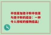 半枝莲加孢子粉半枝莲与孢子粉的结合：一种令人惊叹的植物结晶)