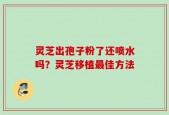 灵芝出孢子粉了还喷水吗？灵芝移植最佳方法