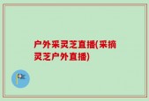 户外采灵芝直播(采摘灵芝户外直播)