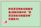 野生灵芝铁皮石斛西洋参(四味珍稀中药“野灵芝铁皮石斛西洋参”价值巨大)