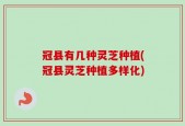 冠县有几种灵芝种植(冠县灵芝种植多样化)