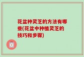 花盆种灵芝的方法有哪些(花盆中种植灵芝的技巧和步骤)