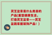 灵芝盆景是什么类目的产品(重塑健康生活，打造灵芝盆景——灵芝盆栽家居装饰产品！)