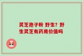 灵芝孢子粉 野生？野生灵芝有药用价值吗
