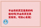 半山农的灵芝是真的吗能吃吗(半山农灵芝真实有效，可放心食用)