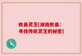 攸县灵芝(湖南攸县：寻找传统灵芝的秘密)