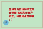 盐城东台附近种灵芝的在哪里(盐城东台出产灵芝，种植地点在哪里？)