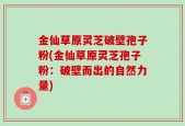 金仙草原灵芝破壁孢子粉(金仙草原灵芝孢子粉：破壁而出的自然力量)