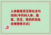 人参鹿茸灵芝草吃法与功效(中药材人参、鹿茸、灵芝、草的药效及合理使用方式)