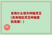 青海什么地方种植灵芝(青海地区灵芝种植蓬勃发展！)