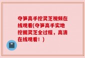夺笋高手挖灵芝视频在线观看(夺笋高手实地挖掘灵芝全过程，高清在线观看！)