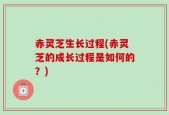 赤灵芝生长过程(赤灵芝的成长过程是如何的？)