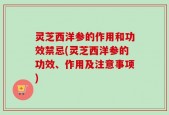 灵芝西洋参的作用和功效禁忌(灵芝西洋参的功效、作用及注意事项)