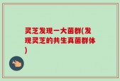 灵芝发现一大菌群(发现灵芝的共生真菌群体)