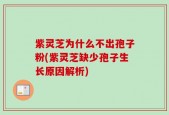 紫灵芝为什么不出孢子粉(紫灵芝缺少孢子生长原因解析)