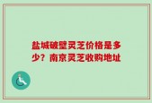 盐城破壁灵芝价格是多少？南京灵芝收购地址