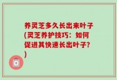 养灵芝多久长出来叶子(灵芝养护技巧：如何促进其快速长出叶子？)