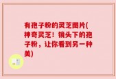 有孢子粉的灵芝图片(神奇灵芝！镜头下的孢子粉，让你看到另一种美)