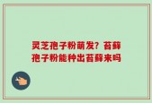 灵芝孢子粉萌发？苔藓孢子粉能种出苔藓来吗