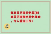 郏县灵芝园特色菜(郏县灵芝园推出特色美食，令人垂涎三尺)