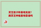 灵芝孢子粉基地龙泉？藏灵芝种植基地靠谱吗