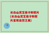 长白山灵芝孢子粉照片(长白山灵芝孢子粉照片呈现自然之美)