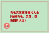 乌龟灵芝摆件图片大全(收藏乌龟、灵芝、摆设图片大全)