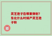 灵芝孢子在哪里弹射？东北什么时候产灵芝孢子粉