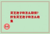 灵芝孢子粉怎么取得？野生灵芝孢子粉怎么收集